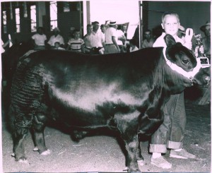 Madison Co Fair